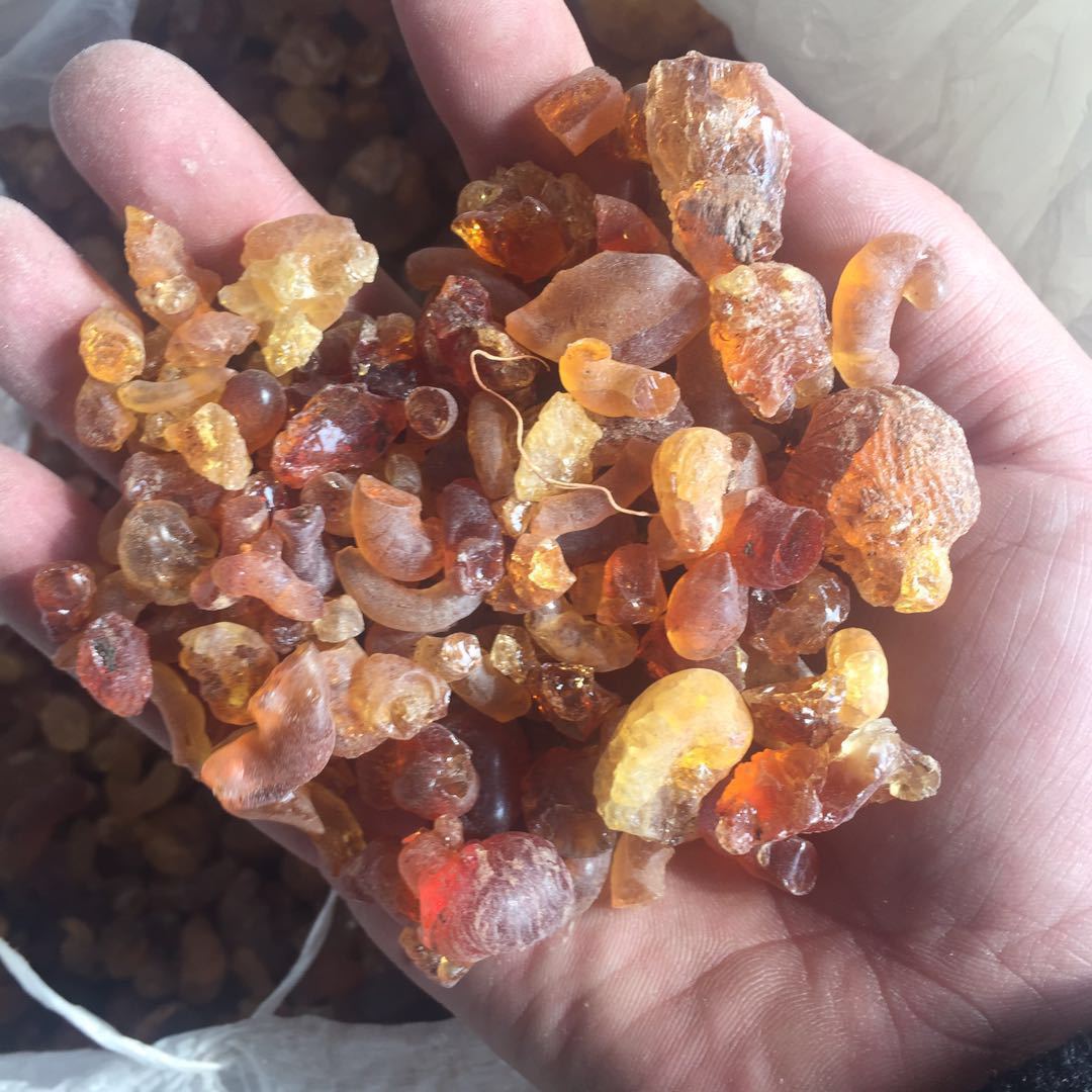 大量供应 阿拉伯胶 阿拉伯胶粉 阿拉伯树胶 免费拿样