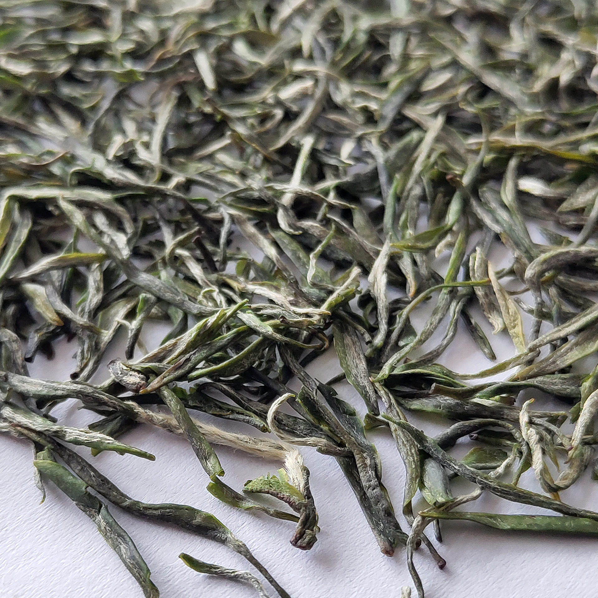 供应 有机绿茶特级 绿针铁罐预包装 有机绿茶