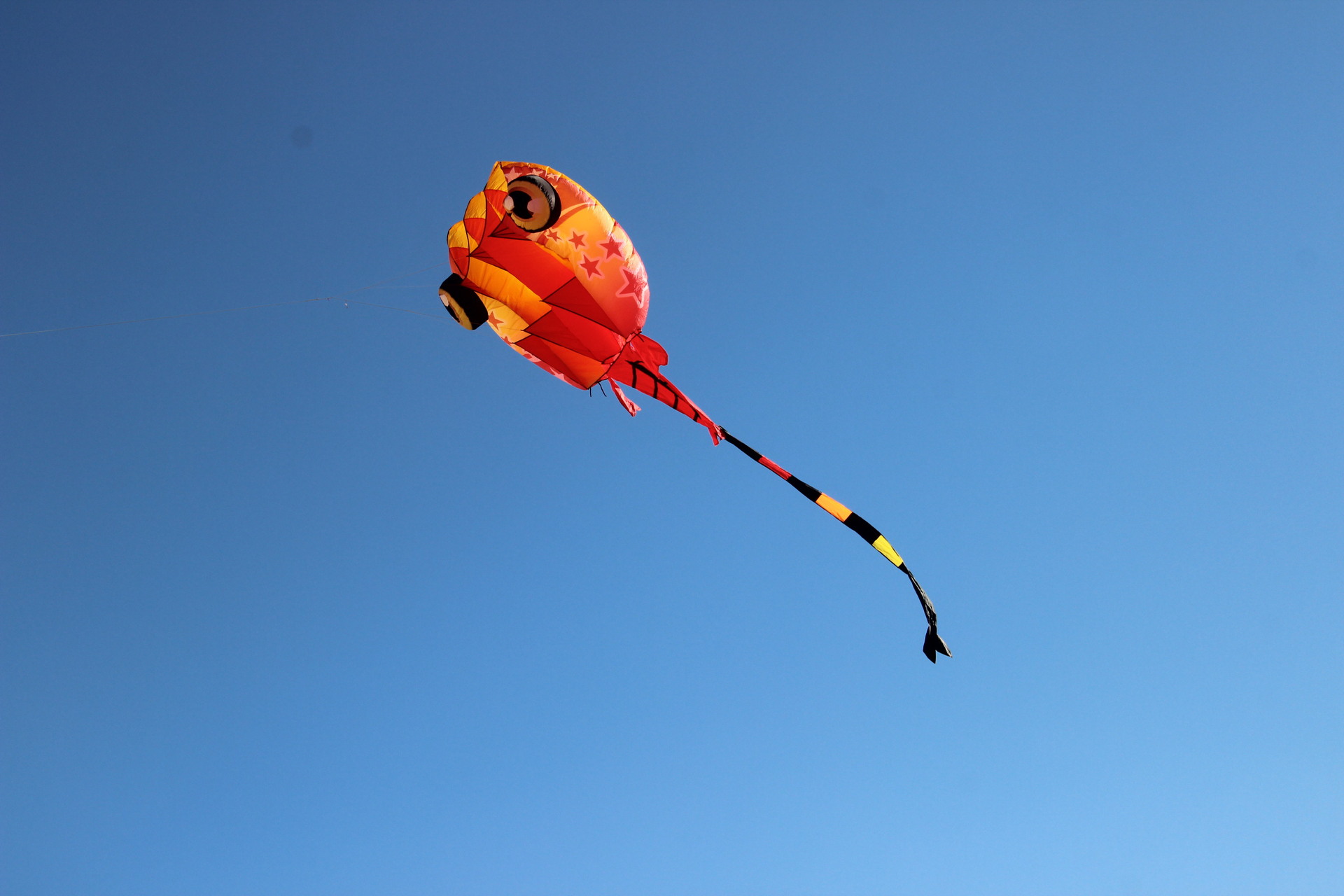 领航风筝 战狼 蝌蚪风筝软体风筝 充气风筝 跨境电商 速卖通