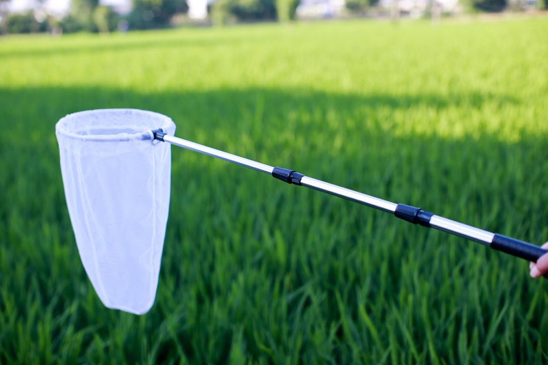 铝合金超短捕虫网 蝴蝶蜻蜓昆虫网兜伸缩捞鱼网小鱼兜蝌蚪两用-阿里巴