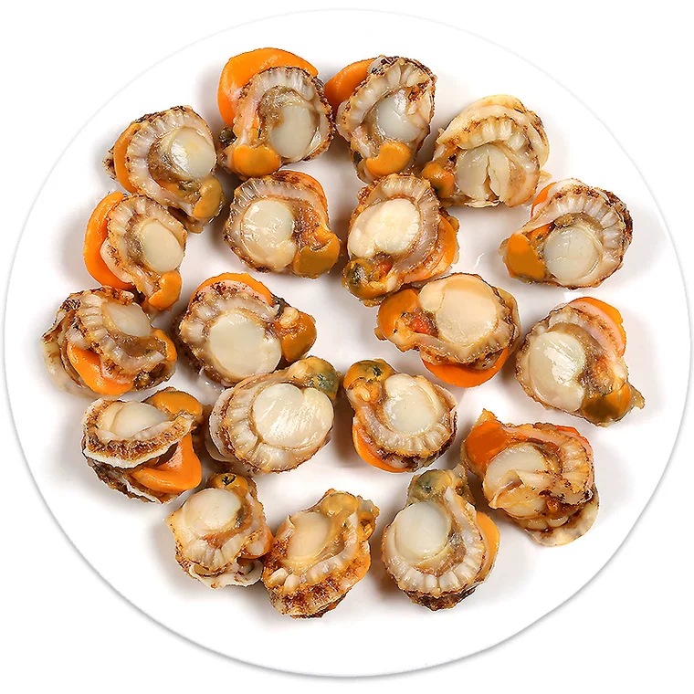 冻煮裙边贝 冷冻小扇贝肉 40/60 海鲜贝肉 辣卤小吃辣炒用10kg/件