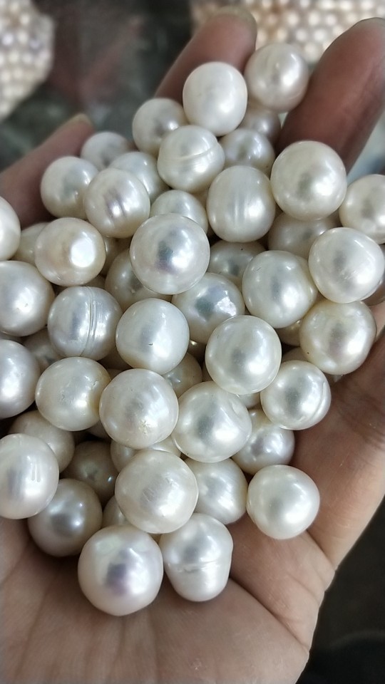摆摊diy手工配饰真珍珠淡水圆珍珠大颗粒12-13mm散珍珠