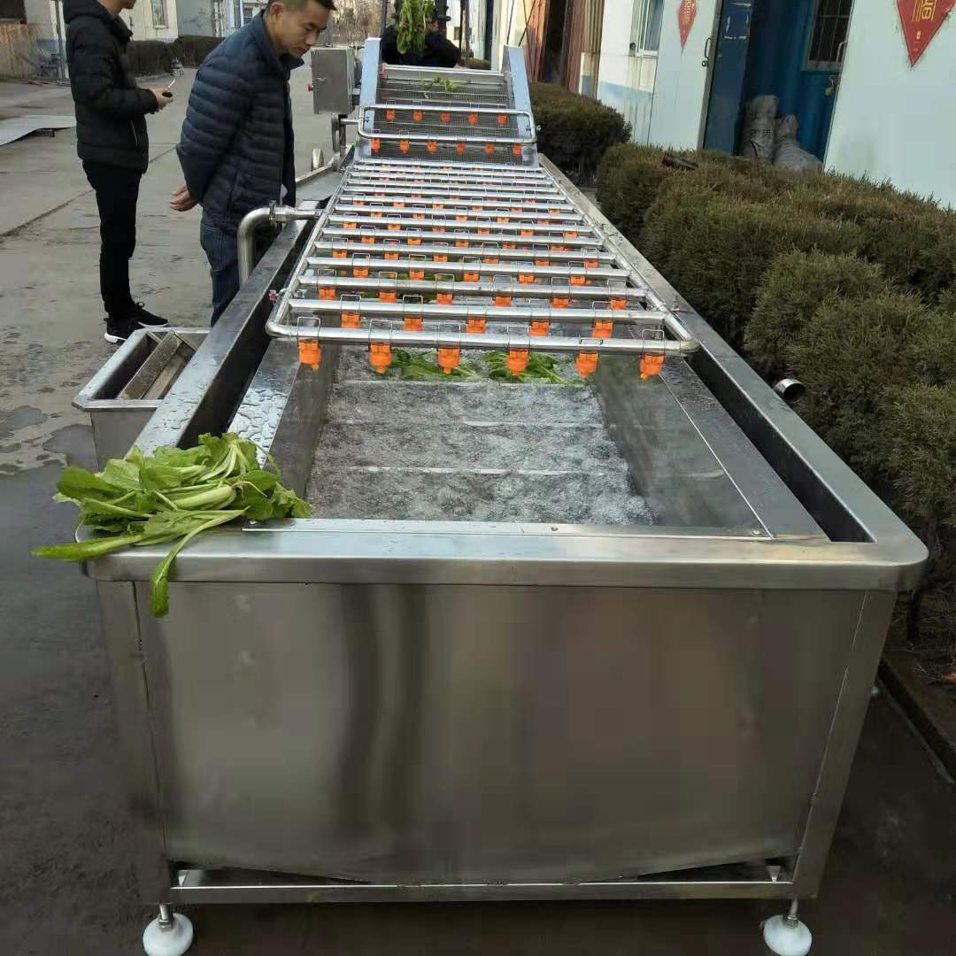 蒲公英清洗机气泡冲浪洗菜机叶类蔬菜水果加工清洗生产流水线