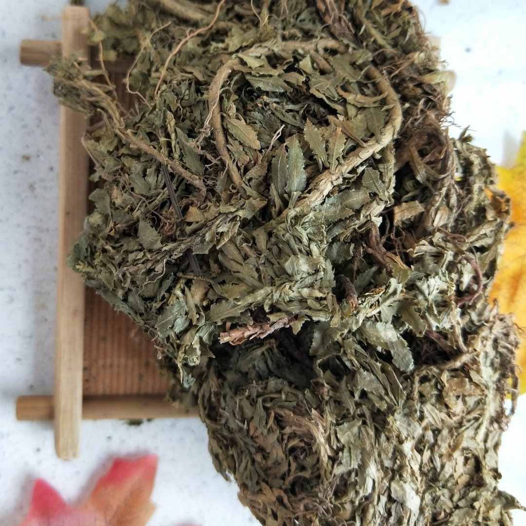 千层塔金不换虱子草宝塔花蛇交子毛青杠生扯拢批发冷背奇名中药材