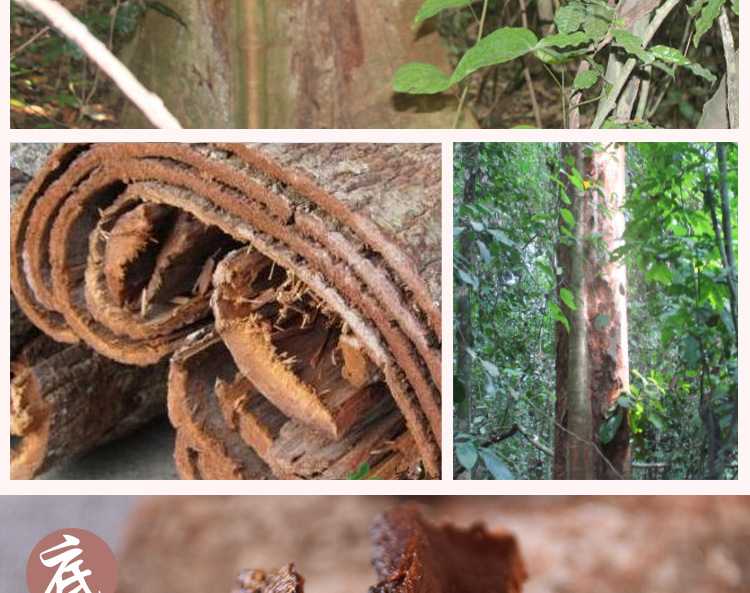 批发 卡宾达树皮 安哥天然拉卡宾达树皮卡槟达树皮批发男性保健