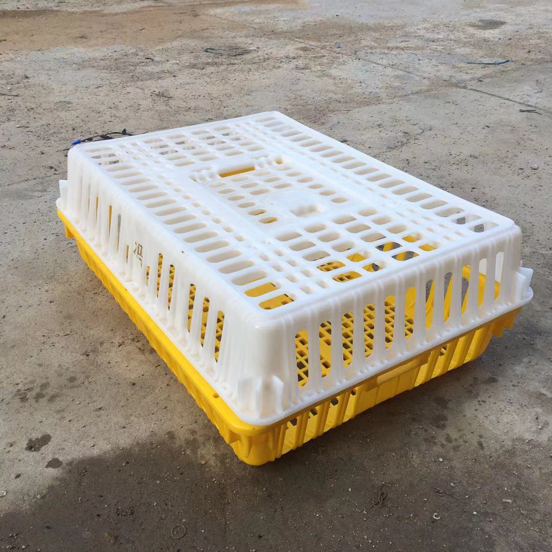 供应贵州塑料鸡笼 运输鸡笼 活鸡周转笼 鸭笼 塑胶鸡笼