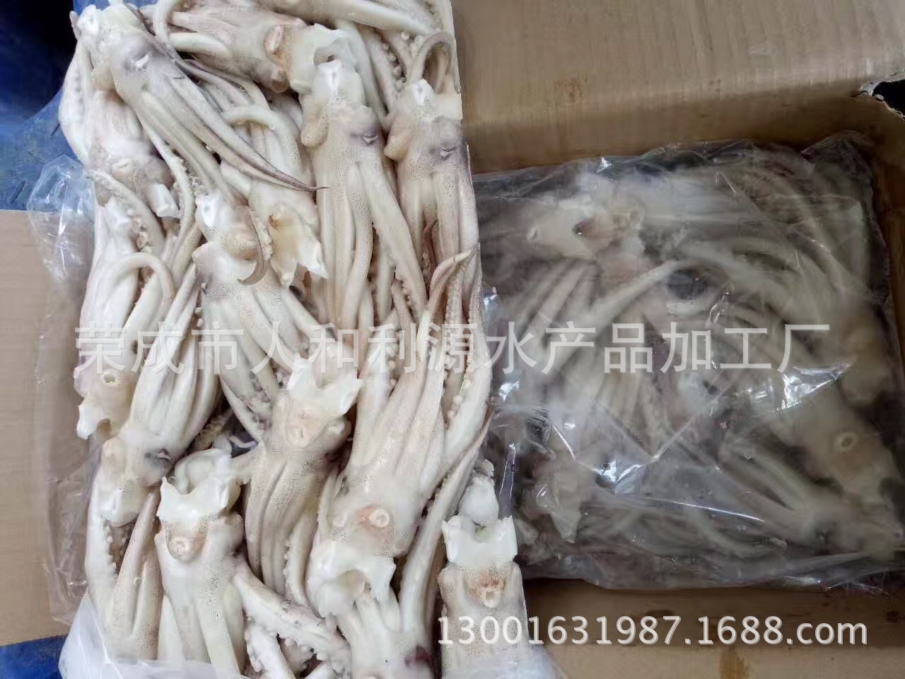冰冻阿根廷鱿鱼头 冰冻阿根廷机洗鱿鱼头-阿里巴巴