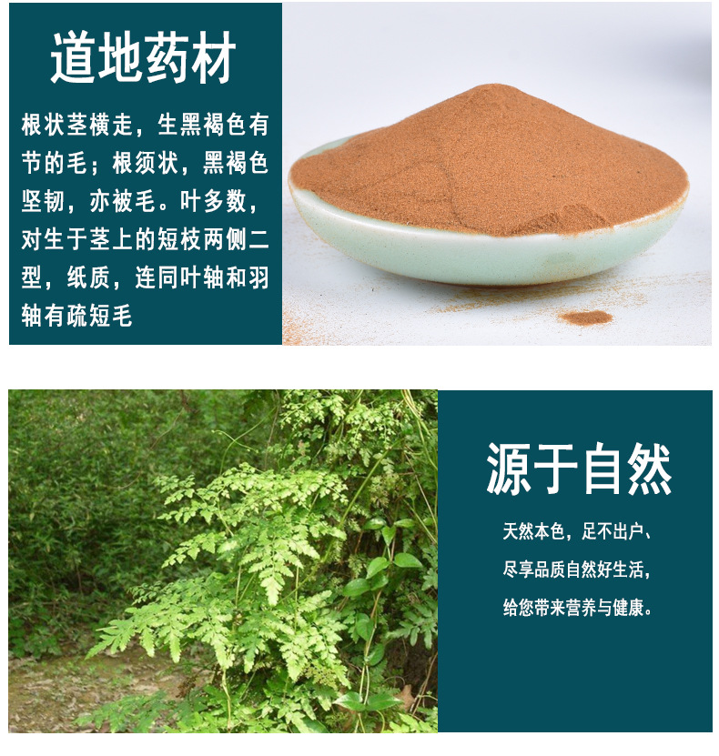 批发现货 海金沙 江西野生海金沙 无杂质 支持药检 承接药房医院