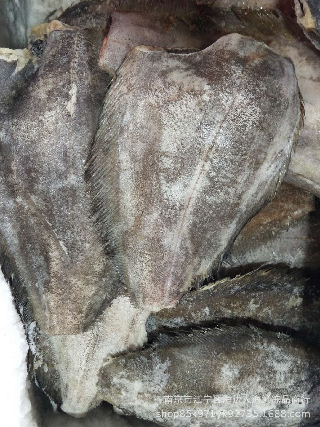 厂家一手货批发速冻鸦片鱼身鲜冻结比目鱼身冷冻鸦片鱼肉冻比目鱼