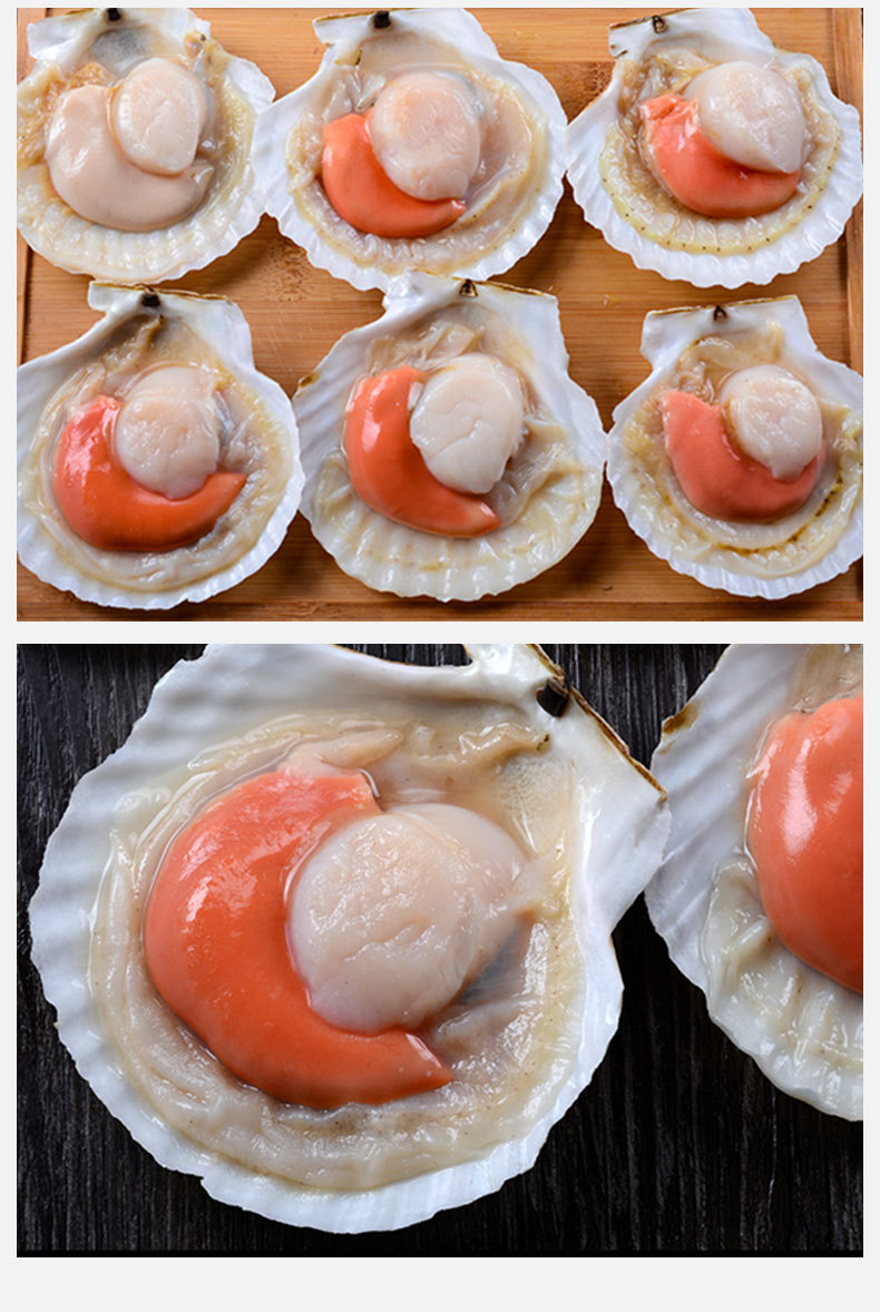 新鲜有卵虾夷大扇贝带黄烧烤粉丝蒸