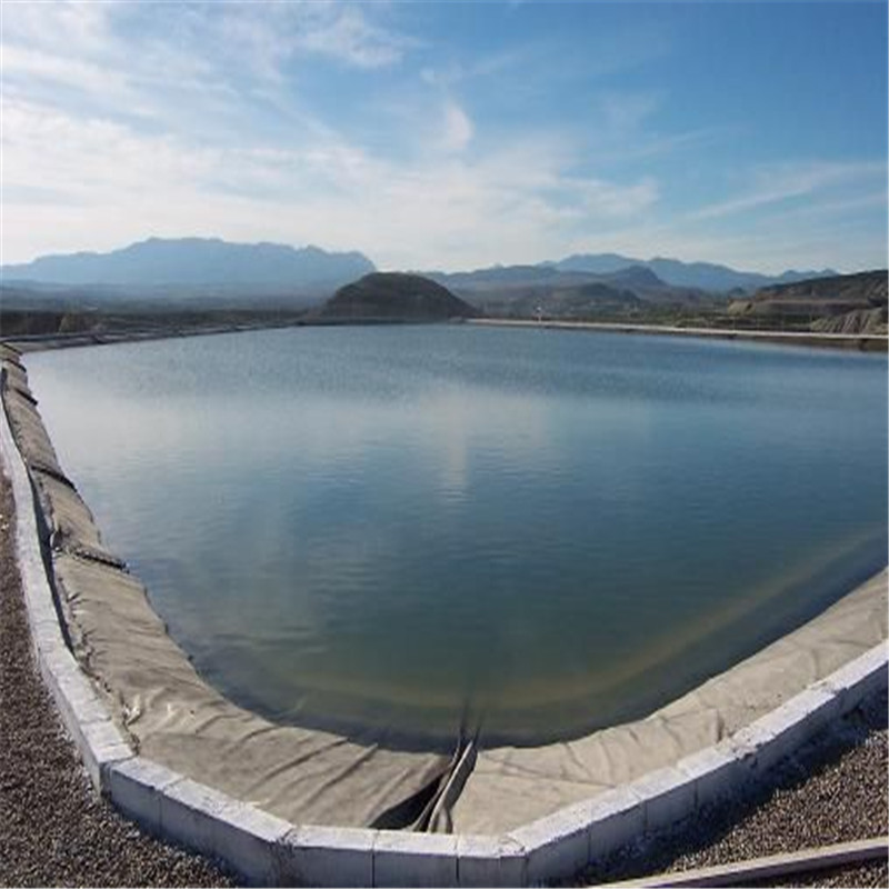 批发鱼塘专用土工膜虾池养殖防渗膜化工污水池选聚乙烯膜
