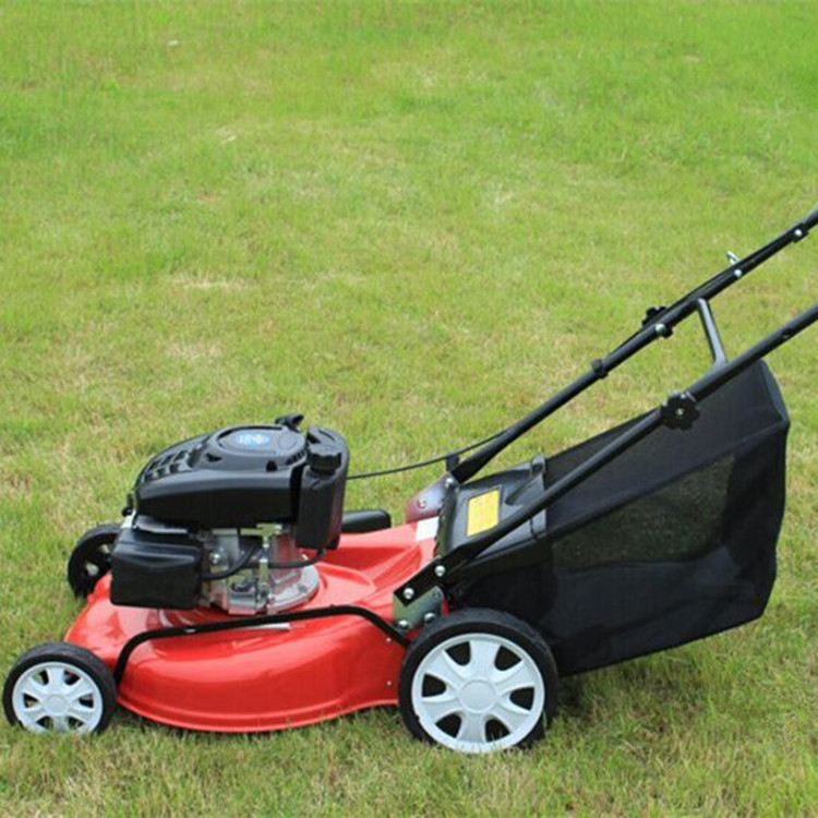 gxv160手推汽油草坪机 手推式割草机 汽油割草机
