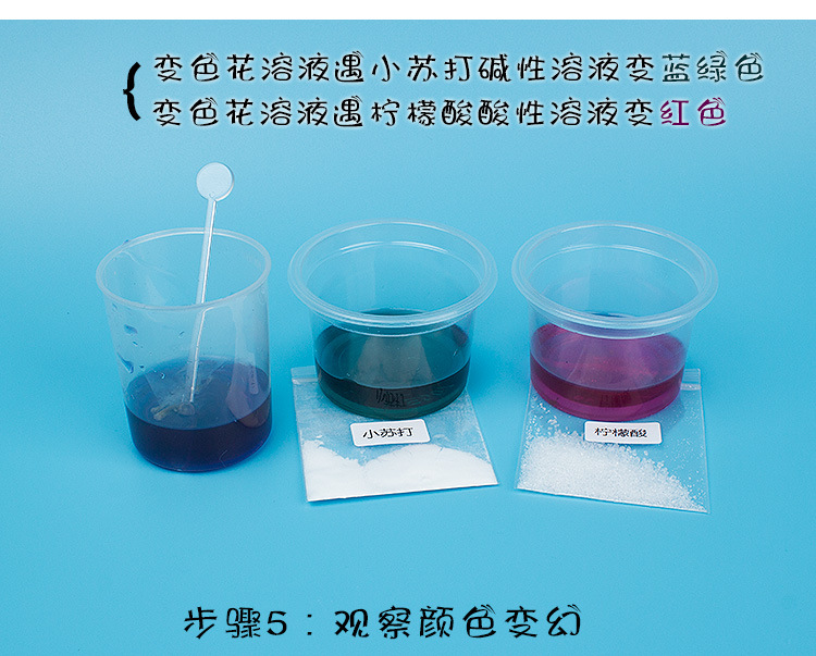 变色花紫罗兰变身花青素酸碱认知 科技小制作材料包diy科学小实验
