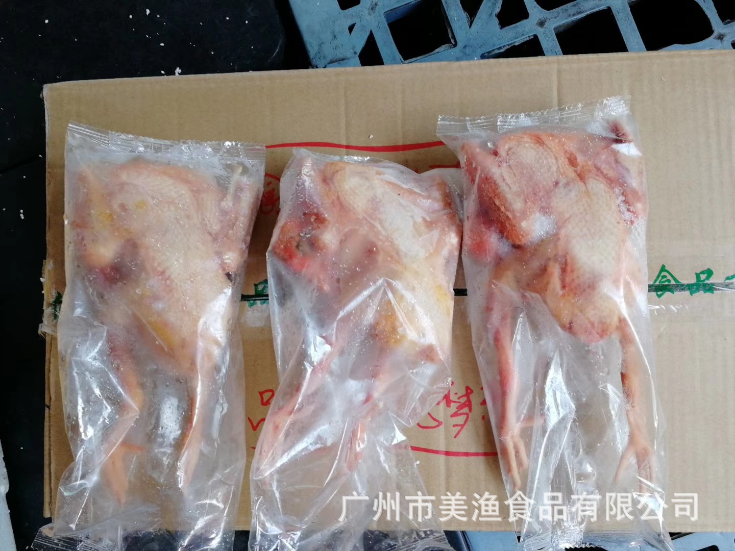 冷冻乳鸽 脆皮乳鸽 白条鸽子餐饮商用 土鸽子汤 5-9两/只 20只/箱