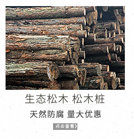 林场直采绿化公园专用松木桩 4米6米工地打桩 防讯木桩批发-阿里巴巴