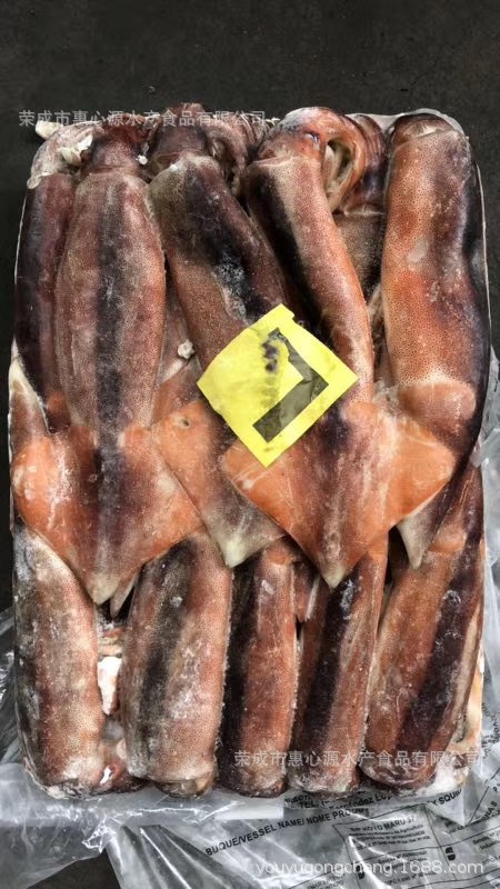深海鱿鱼水产品阿根廷鱿鱼鲜活速冻铁板鱿鱼食材原料批发