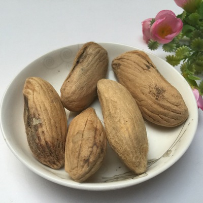 中药材批发 芒果核 优质 长寿果 千种药材 一站购