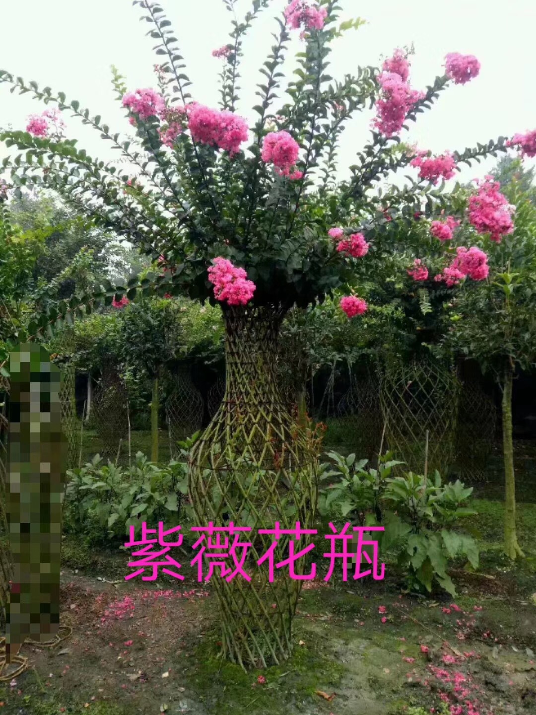 现致立于海棠花瓶造型模型,花柱造型模型,亭子造型模型,爱情长廊模型