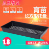 rectangle grow seedlings Tray Fleshy seedling Tray Seedling tray Dendrobium Seedling tray