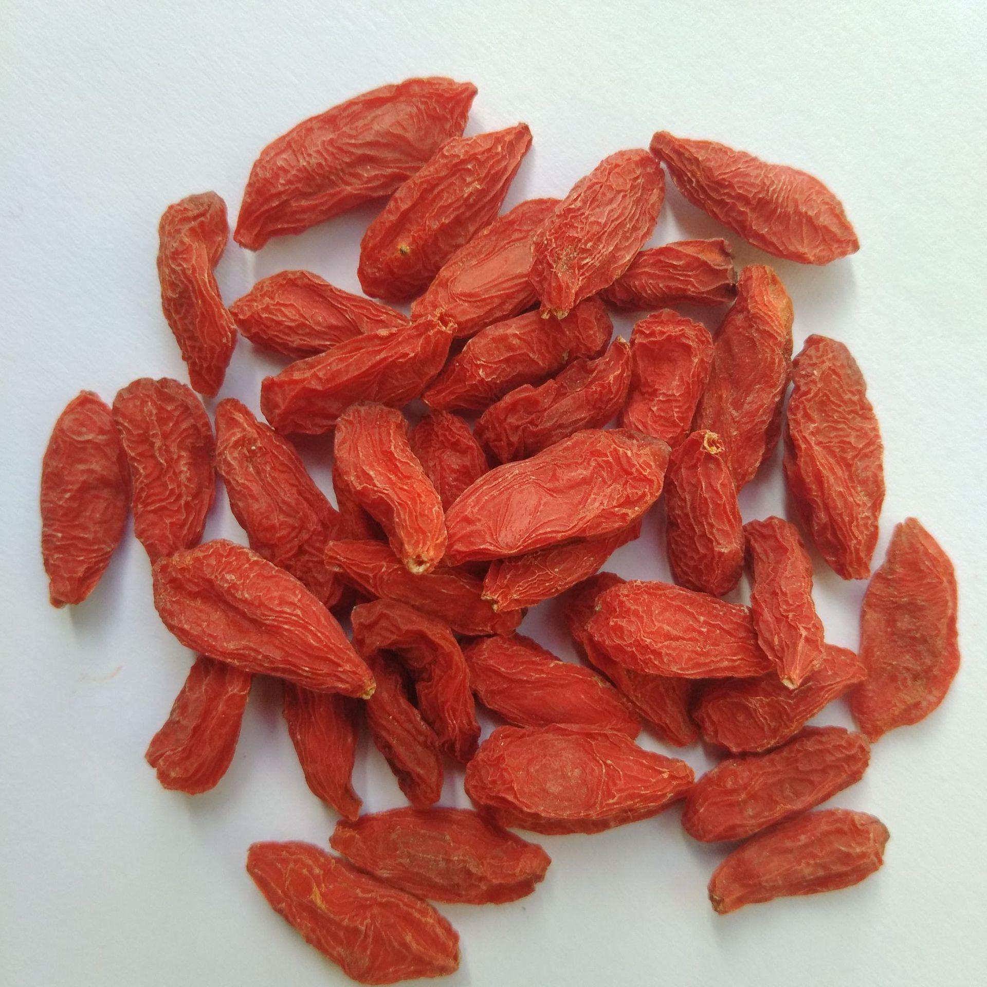 枸杞子宁夏500g干嚼炖汤泡水配菊花苟杞大颗粒构杞茶散装枸杞干