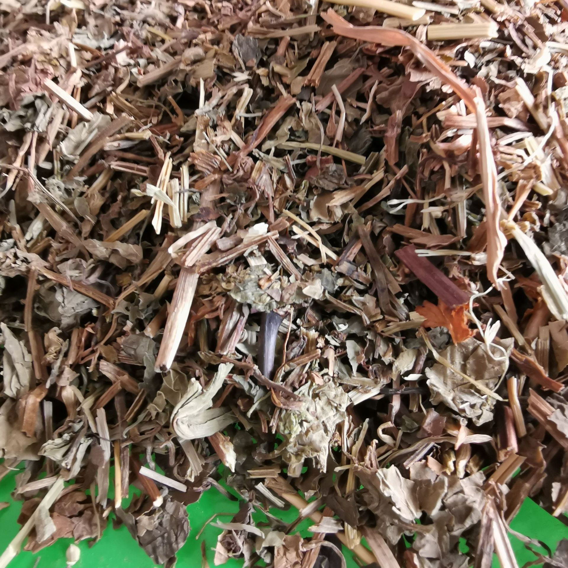 批发供应 连线草 小叶金钱草 遍地香 地钱儿 量大从优-阿里巴巴