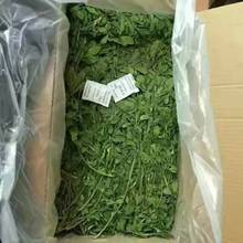 厂家直供烘干紫花苜蓿草 紫花烘干苜蓿草1kg/箱 兔子龙猫荷兰猪