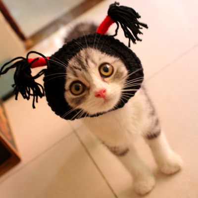 萌傻黑妞辫子帽猫咪帽子搞怪拍照美短折耳猫头饰猫帽可爱假发帽
