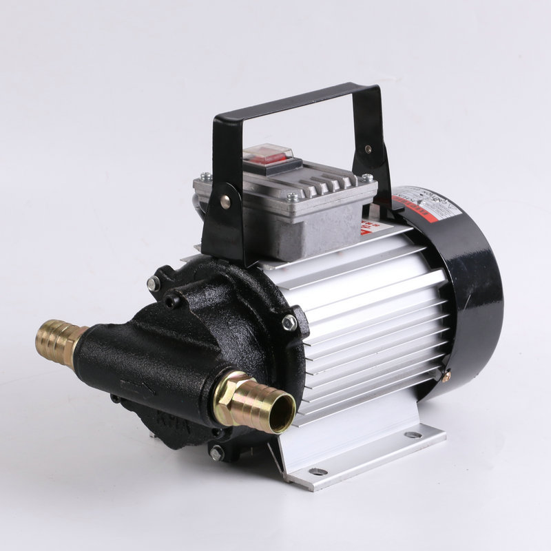 220v电动齿轮柴油油汽油泵 厂家现货小齿轮卧式油泵 电动液压油泵