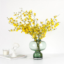 现代居家彩色玻璃花瓶北欧风水培台面插花客厅餐桌茶几卧室装知日