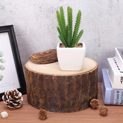 实木圆木桩片 多肉鲜花装饰摆件摄影拍照手工diy装饰道具包邮