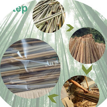 供应出口厘竹小竹竿白竹竿 产品销往欧洲各国厂家批发各类竹竿