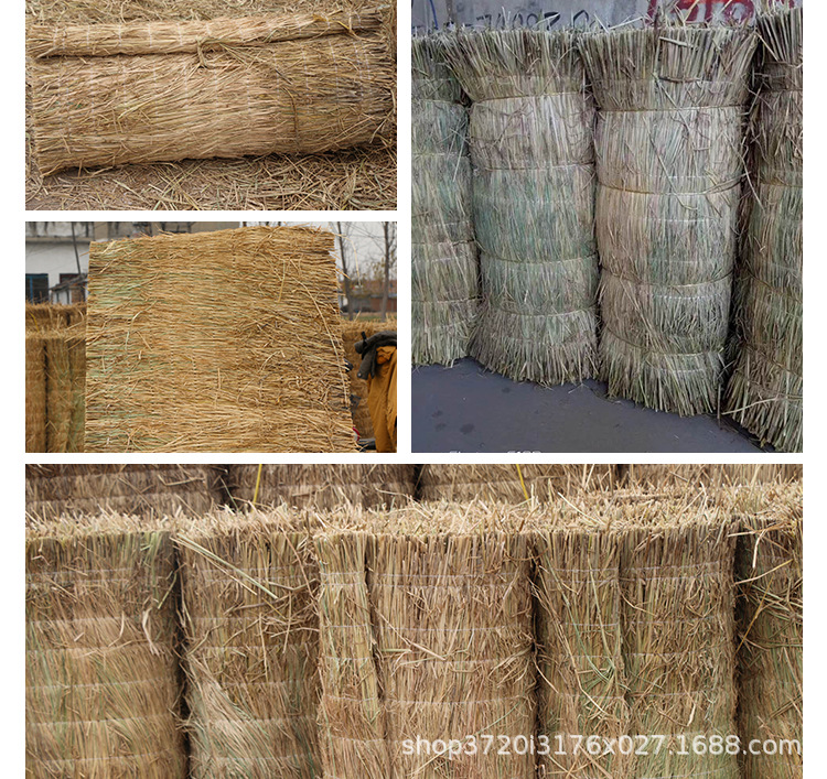 稻草帘子 草苫子 草袋保温 保暖草帘 绿化稻草盖大棚草苫子草帘