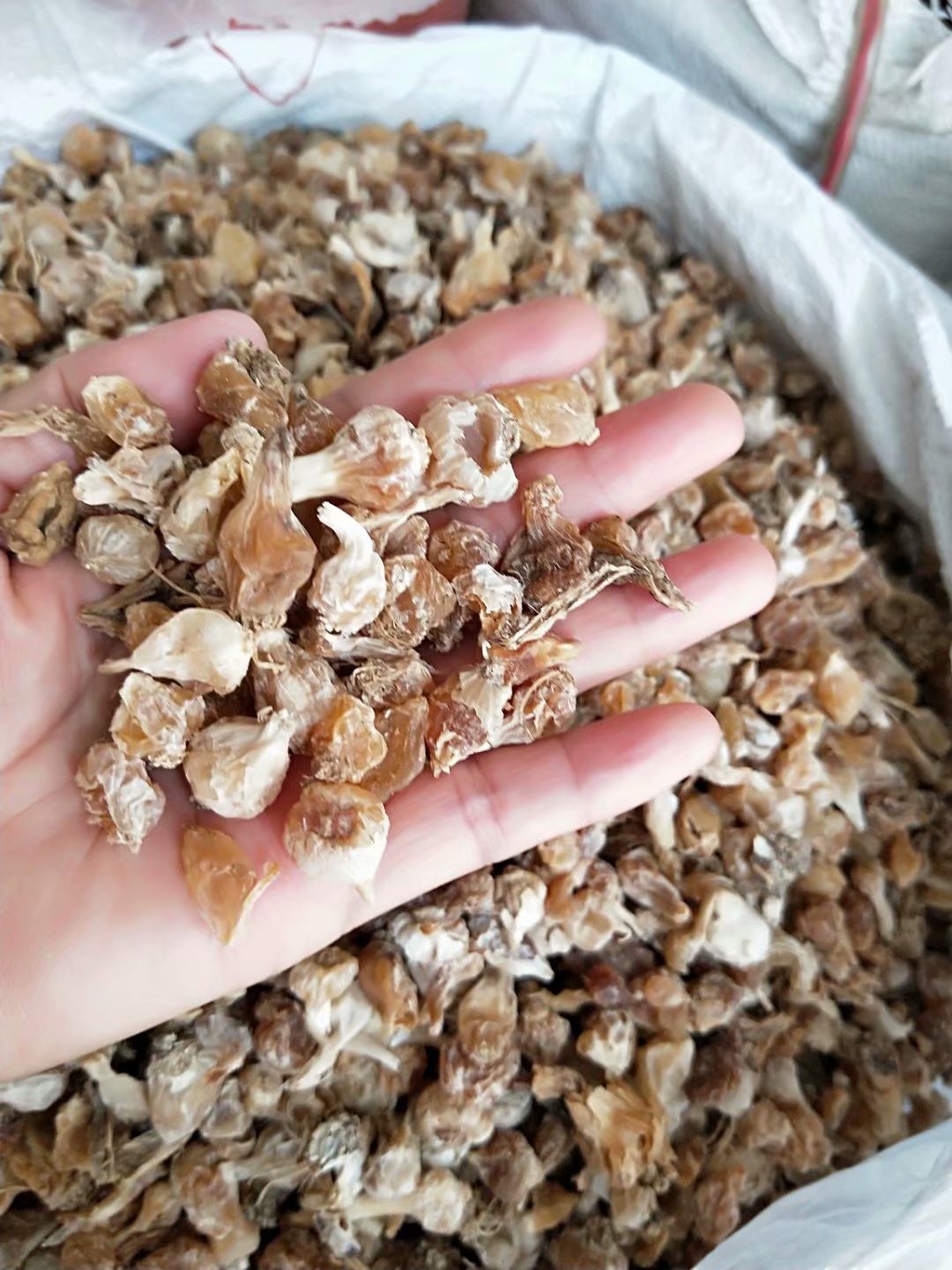 中药材薤白  薤白根 乔白 每件500克