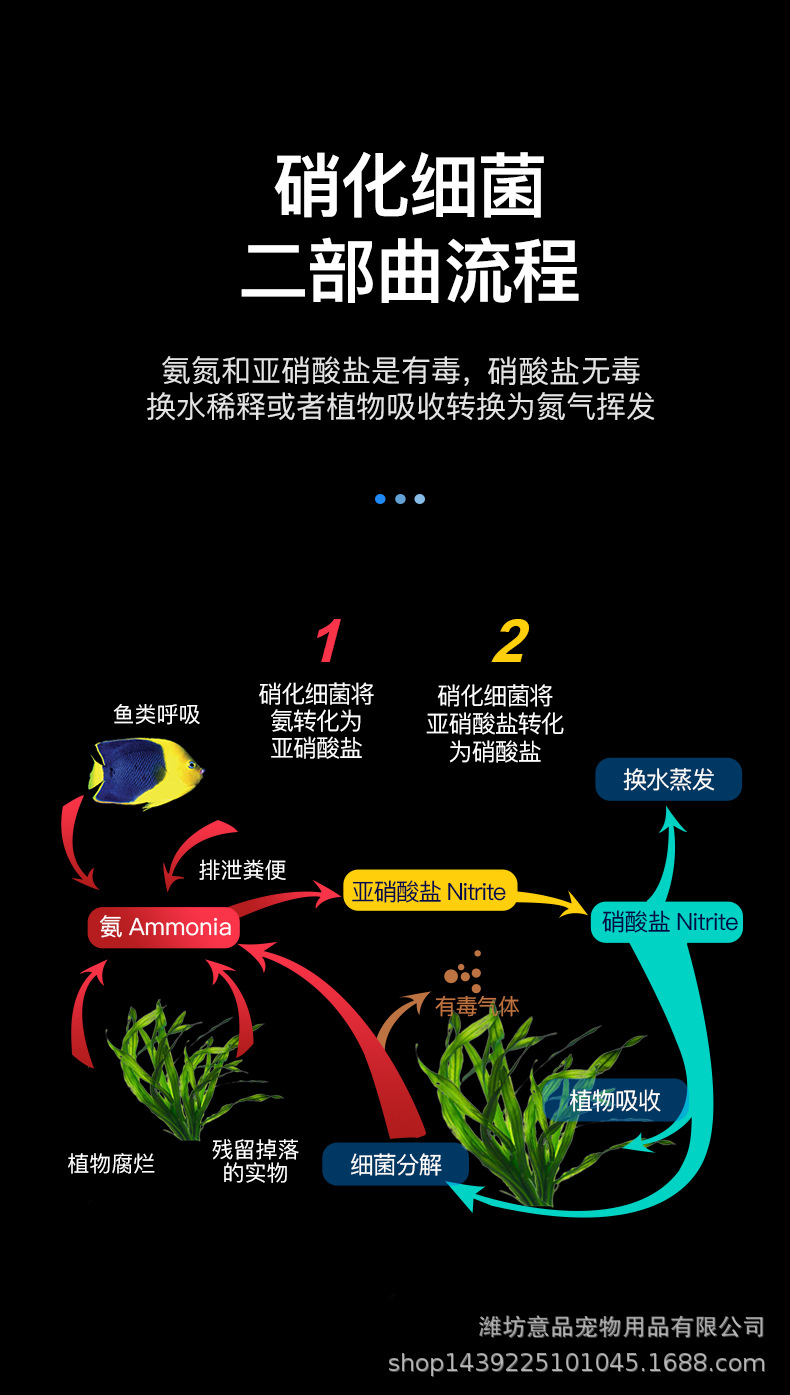 硝化细菌鱼缸用净水剂浓缩干粉消化细菌水族养鱼用品硝化细菌胶囊