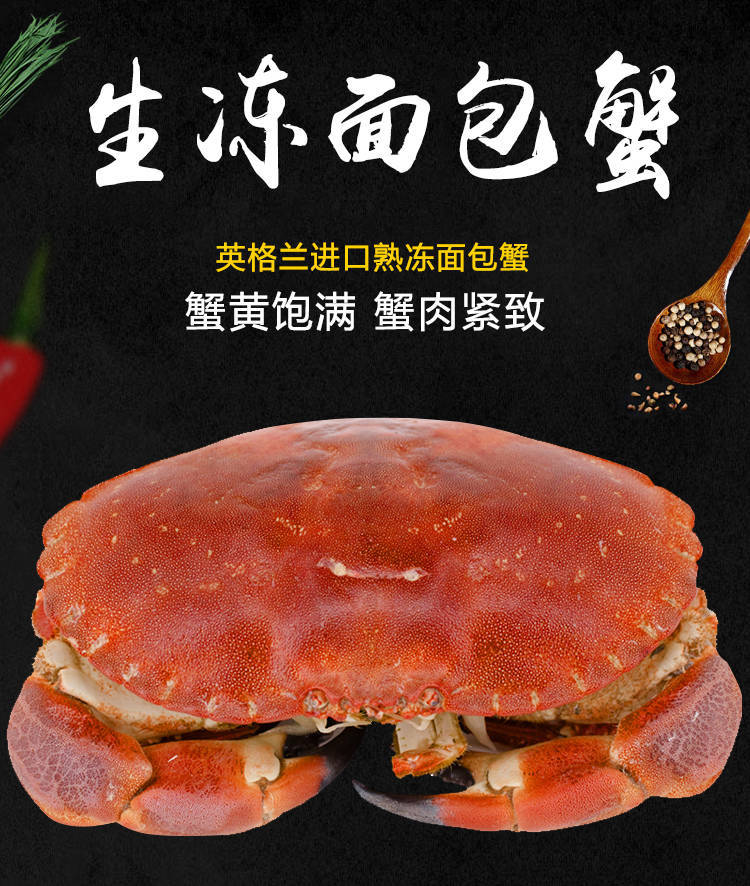 2只顺丰包邮生冻英格兰面包蟹海鲜水产鲜活冷冻进口帝王蟹梭子蟹