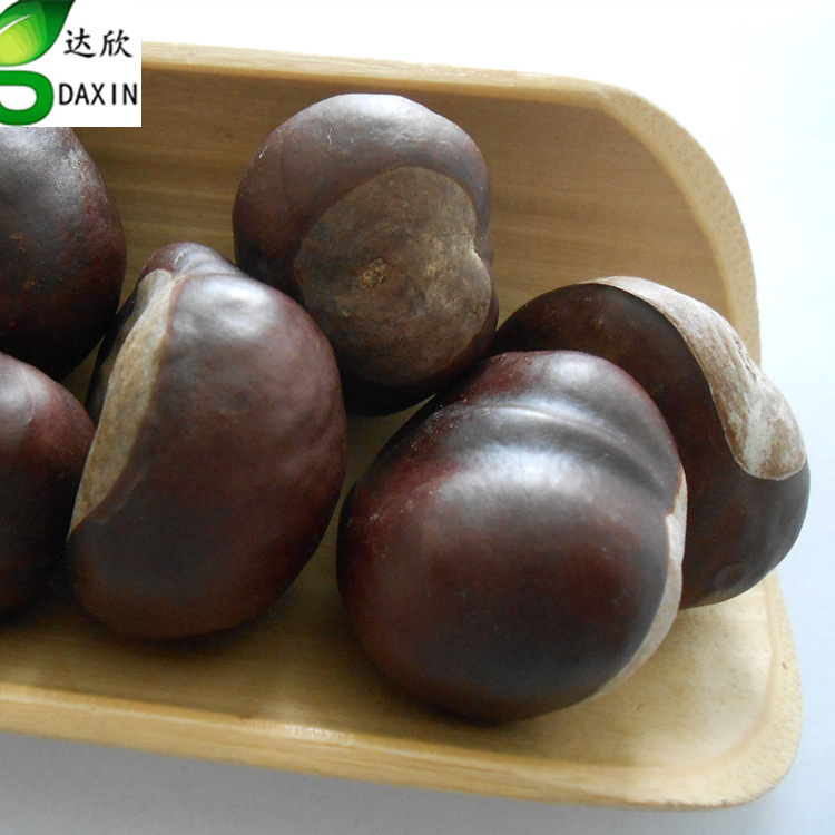 达欣中药材供应 娑罗子 娑罗果 量大从优