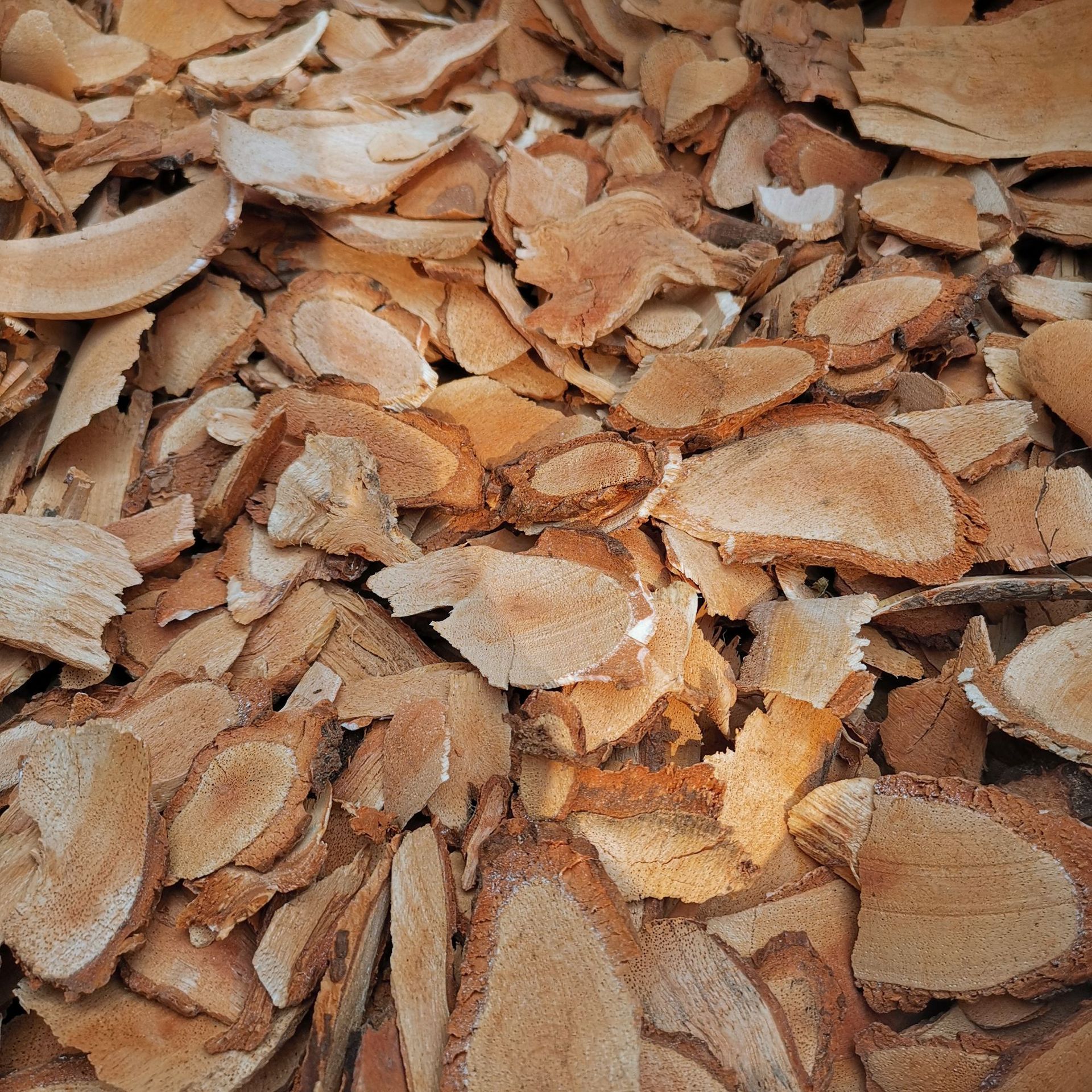 批发供应 藤梨根 猕猴桃根 雄洋桃根 雄杨桃根 洋桃根薄片