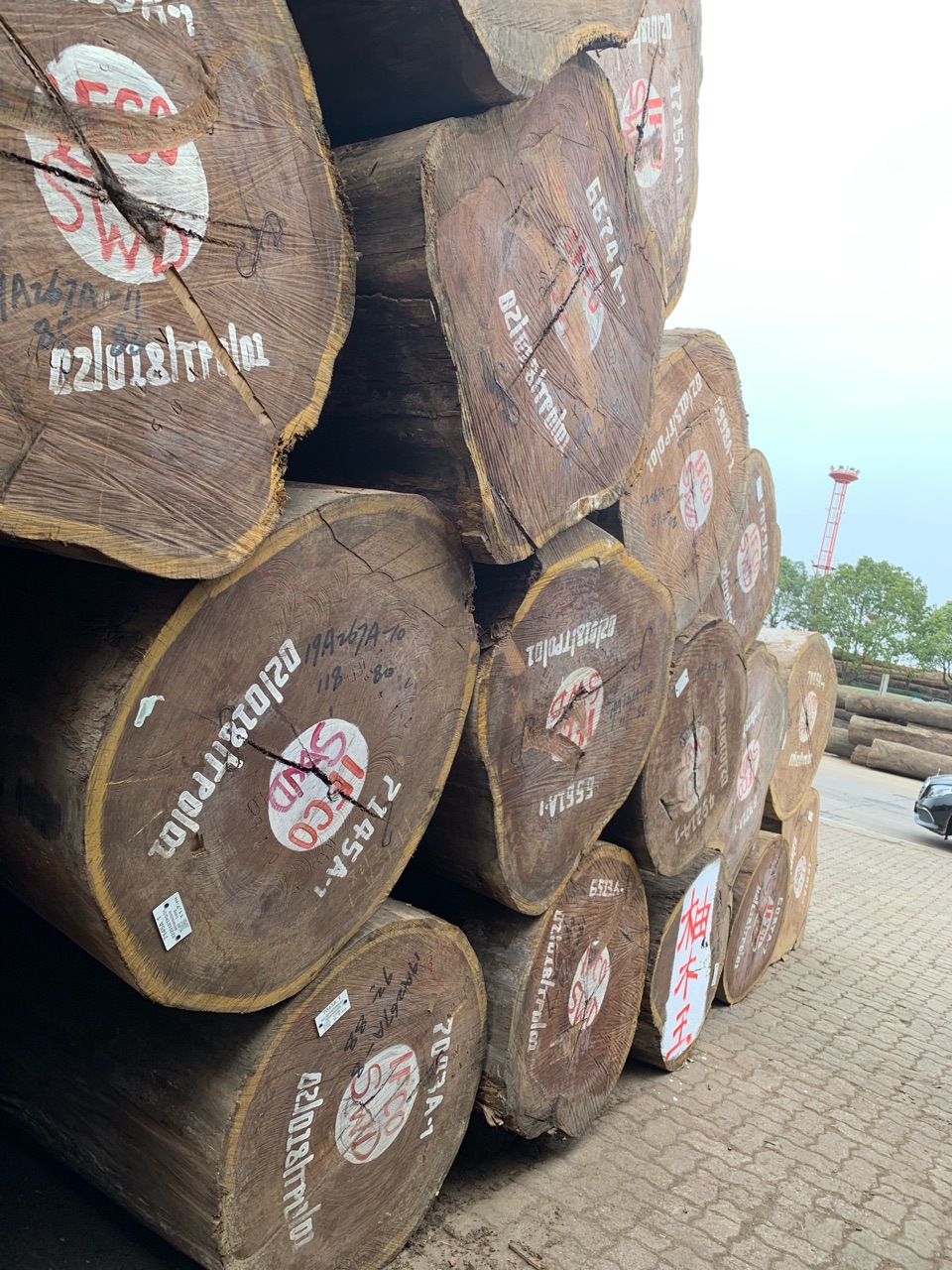 非洲柚木王原木木材 柚木王板材 定尺加工家具园林古建柚木防腐木