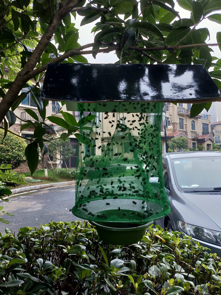 3个三个装捕蝇笼高效灭苍蝇诱蝇笼捕蝇入地式可拆卸捕蝇笼灭蝇器