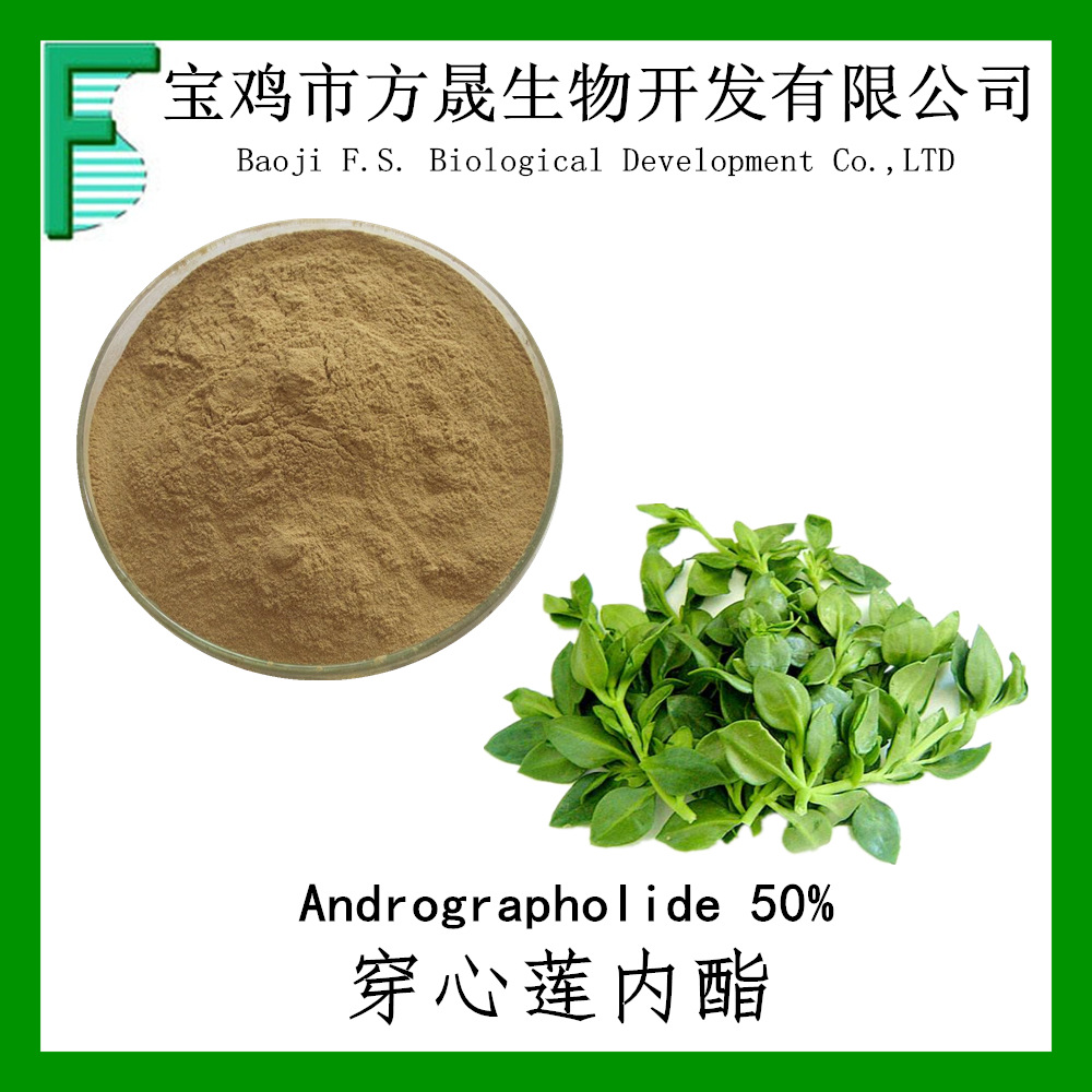 50% 穿心莲内酯 穿心莲提取物 穿心莲乙素 现货包邮