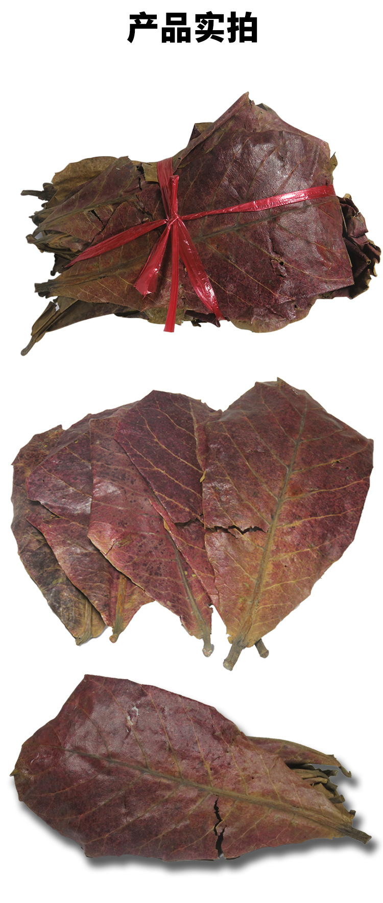 榄仁叶水族造景装饰树叶爬宠斗鱼休息叶鱼躲避降酸龙眼榄仁叶批发