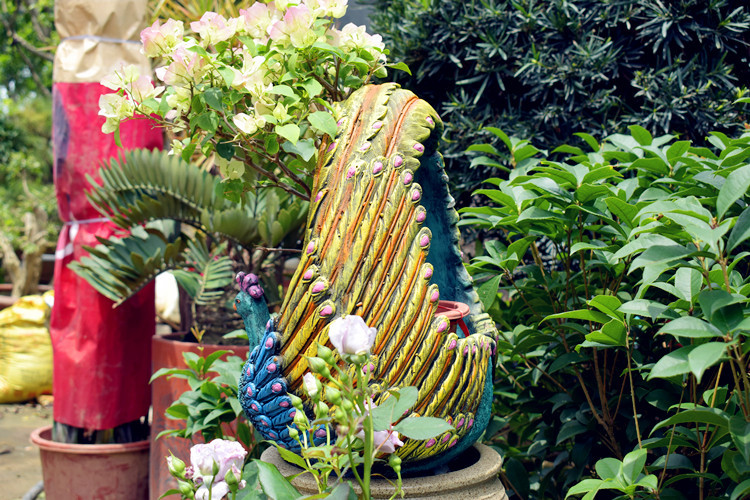 孔雀花盆是否专利货源否加印logo不可以产地福建包装普通包装造型卡通