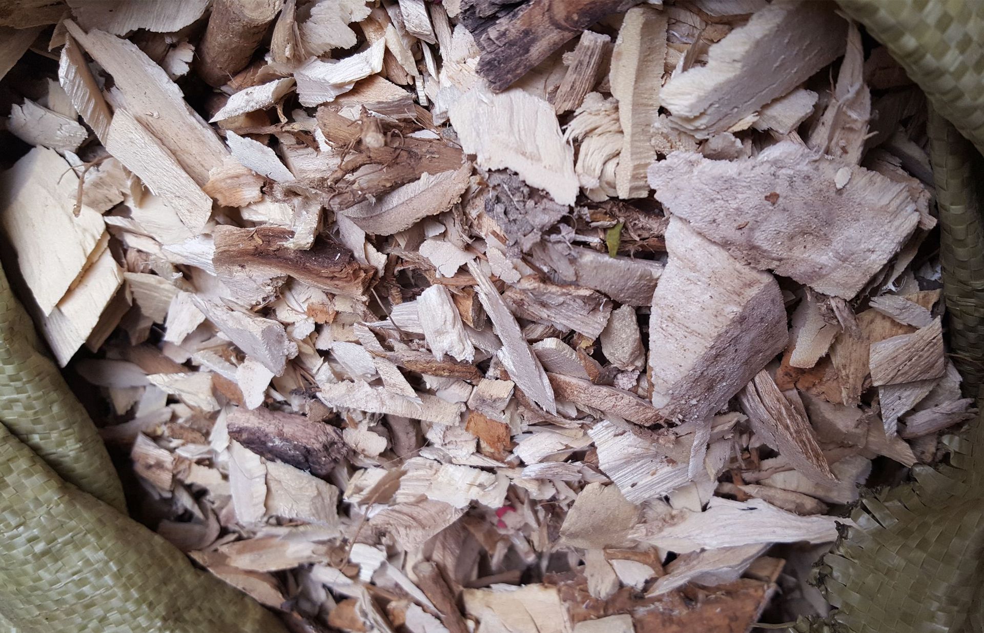 中药材 楮树根 谷树子根 谷木蔃 楮树 构树 构桃树 楮树叶 楮桃叶