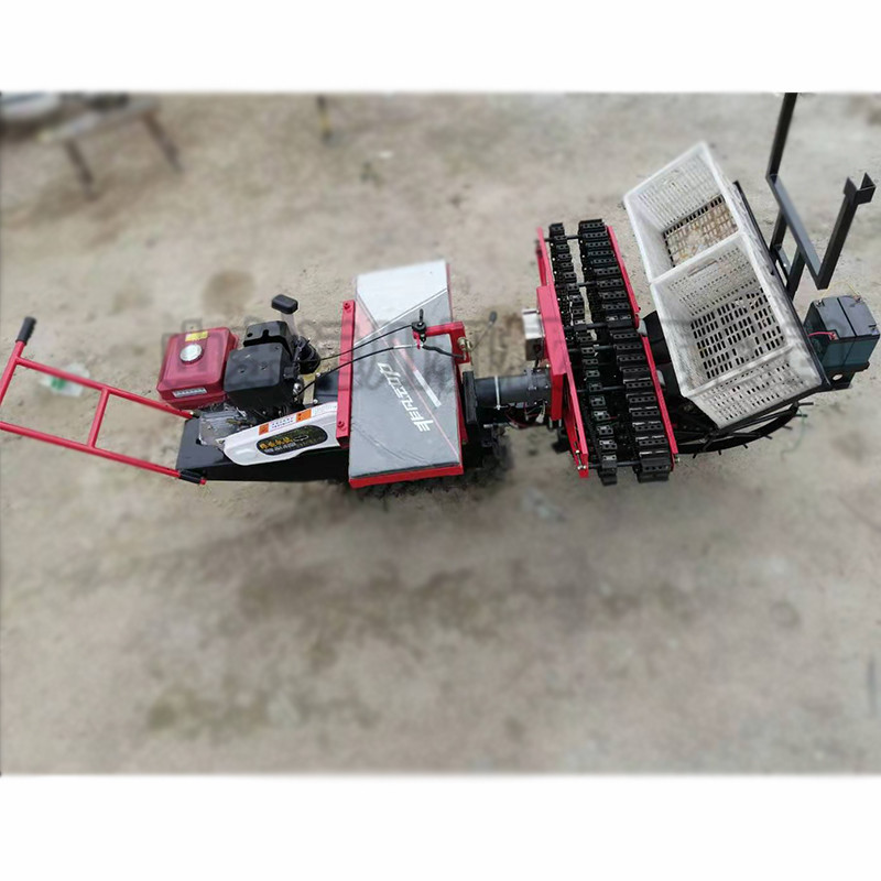 自走式插葱机价格农用高效率大葱种植机后置式插葱机厂家直销