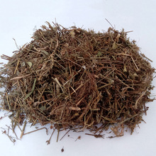中药材 田基黄 地耳草 斑鸠窝 跌水草 雀舌草 观音莲 量大从优