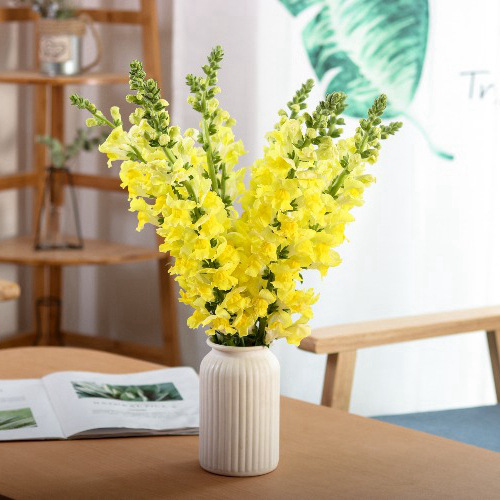 【金鱼草】家庭水养鲜花真花 花店装饰花束配花 云南昆明鲜花批发