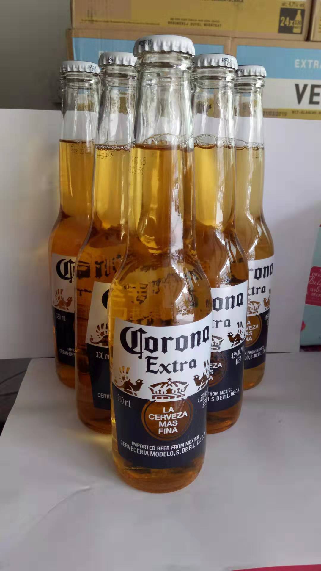 国产行货科-罗娜卡罗拉小瓶啤酒330ml*24小瓶