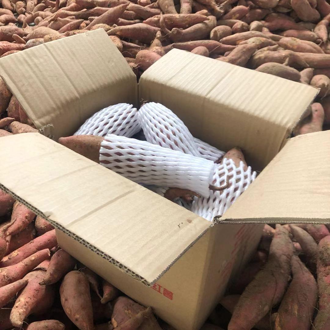 六鳌基地红心蜜薯上新9斤蜜薯新鲜沙地红蜜薯赤沙地瓜一件代发