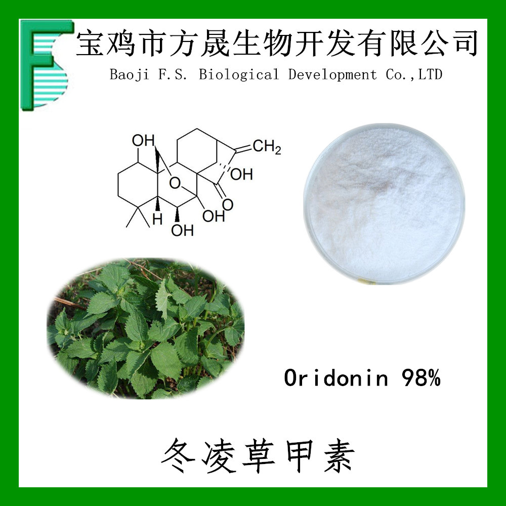 冬凌草甲素98冬凌草素延命草宁冬凌草提取物28957042