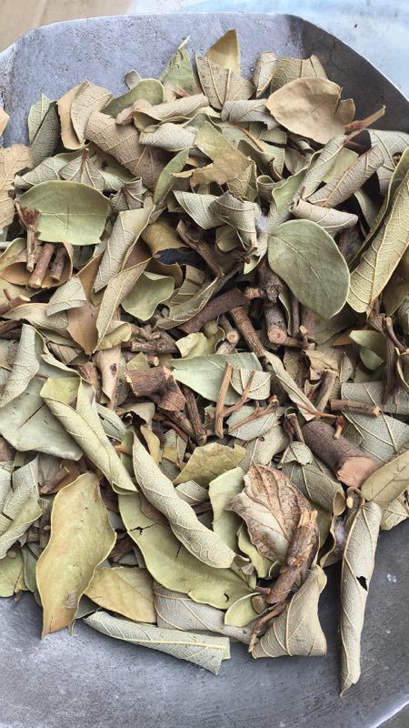 中药材木莲藤霹雳藤木馒头藤枝叶量大从优